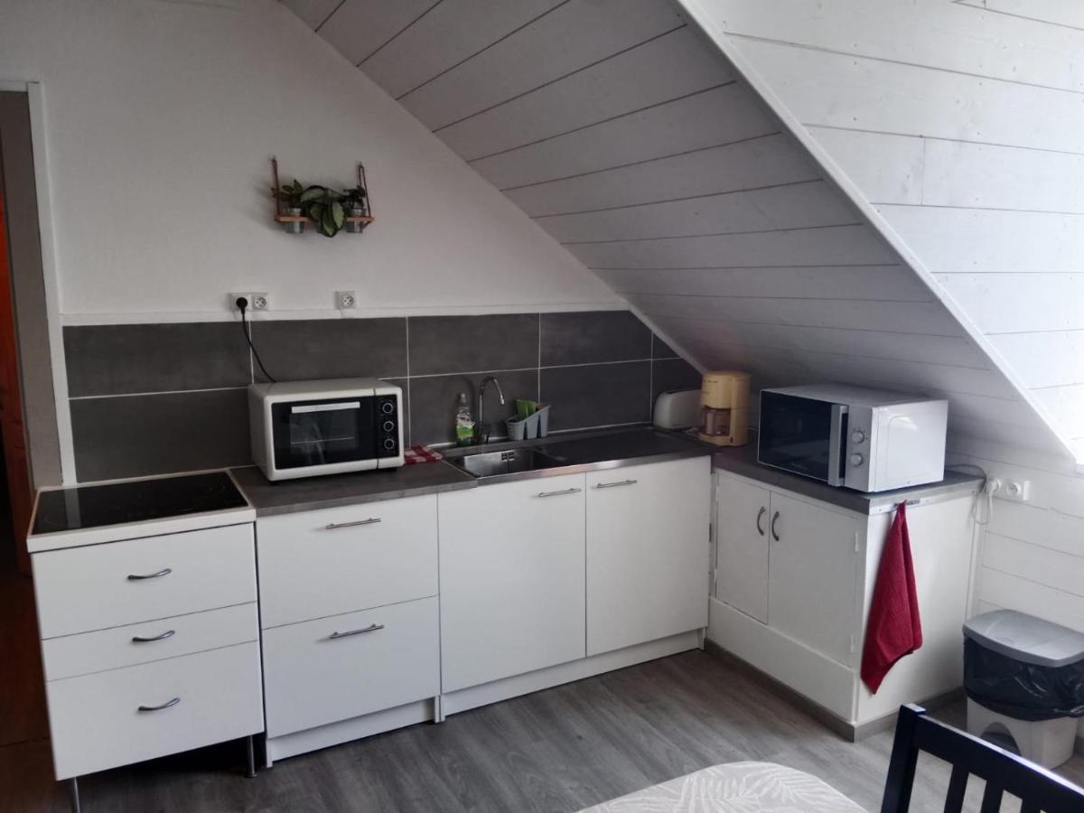 Charmant Appartement Au Centre De バニエール・ド・ビゴール エクステリア 写真